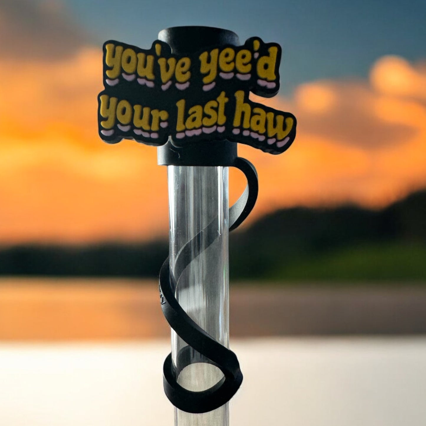 You’ve Yee’d Your Last Haw | Straw Topper 10mm