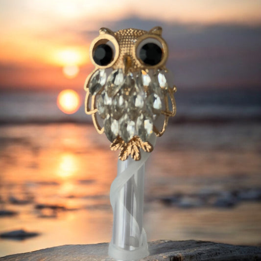 It’s A Hoot Owl | Deluxe Straw Topper | 10mm